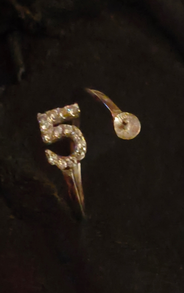 SS 50 RING MOUNT
