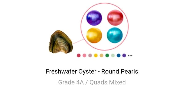 Quad FRESHWATER Oyster
