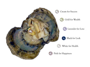 Shuck of Oysters